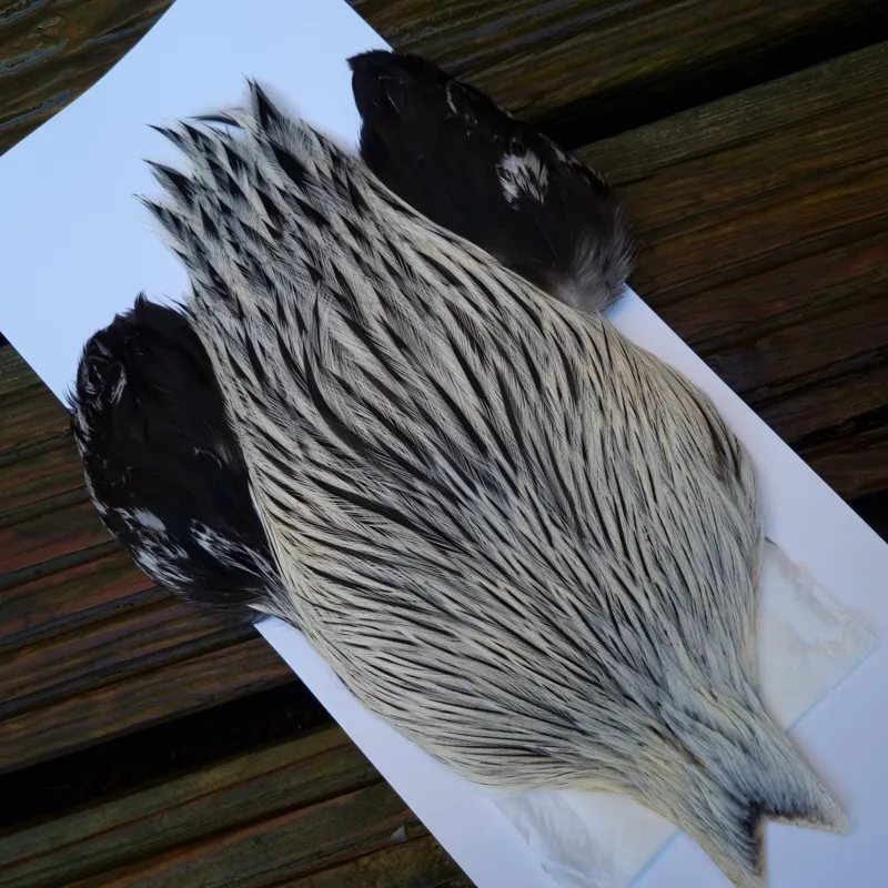 The Lakeland Brahma Rooster Cape in Natural Silver Badger from Whiting Farms -1