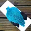 The Lakeland Brahma Rooster Cape in Silver Badger Dyed Silver Dr.Blue from Whiting Farms 