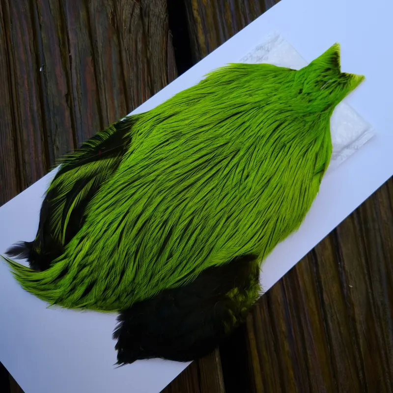 The Lakeland Brahma Rooster Cape in Silver Badger Dyed Fl.Green Chartreuse  from Whiting Farms -4
