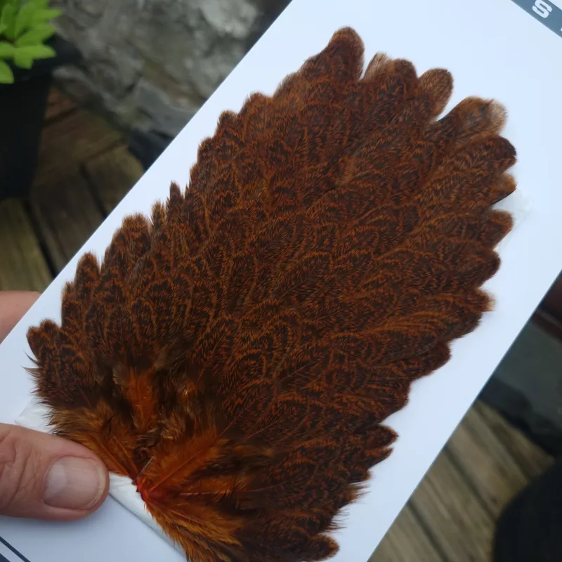 Whiting Brahma Hen Saddle in Burnt Orange-2