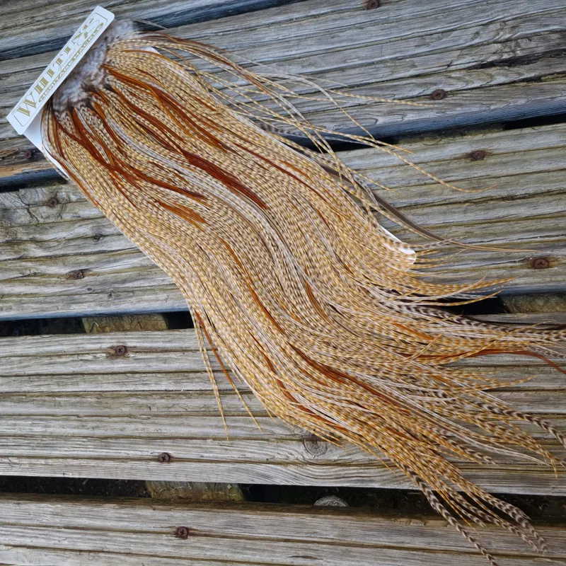 Whiting Heritage Hackles Rooster Saddle in Mixed Colours C Dun CREE Splashed with Furnace Tying Approx 12/14 with a few 16-3
