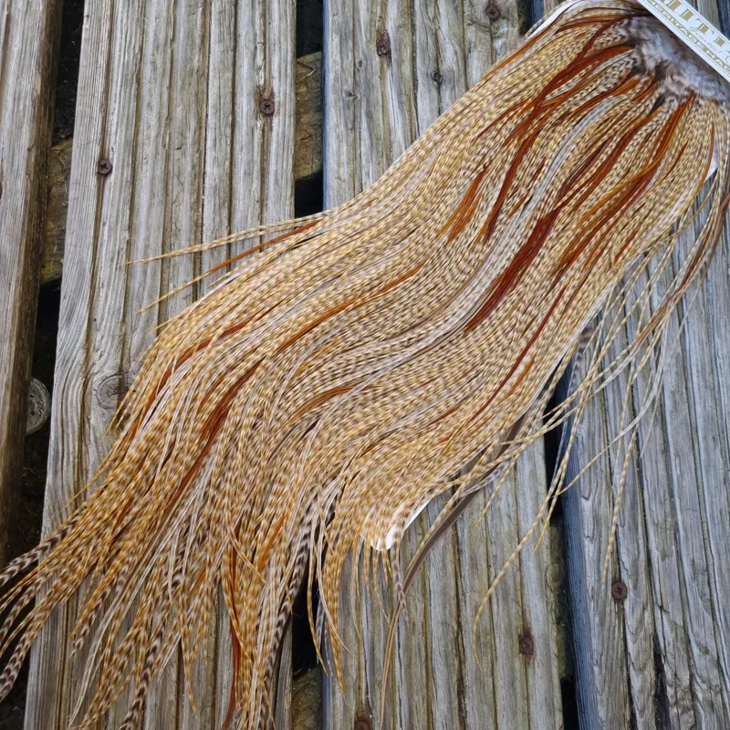 Whiting Heritage Hackles Rooster Saddle in Mixed Colours C Dun CREE Splashed with Furnace Tying Approx 12/14 with a few 16-5