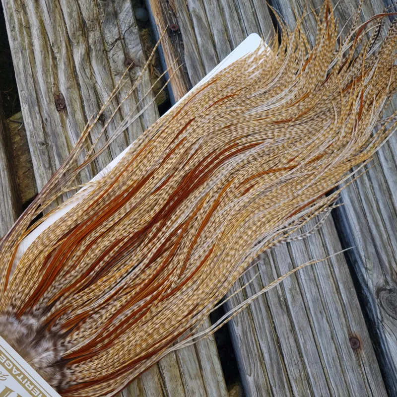 Whiting Heritage Hackles Rooster Saddle in Mixed Colours C Dun CREE Splashed with Furnace Tying Approx 12/14 with a few 16-7