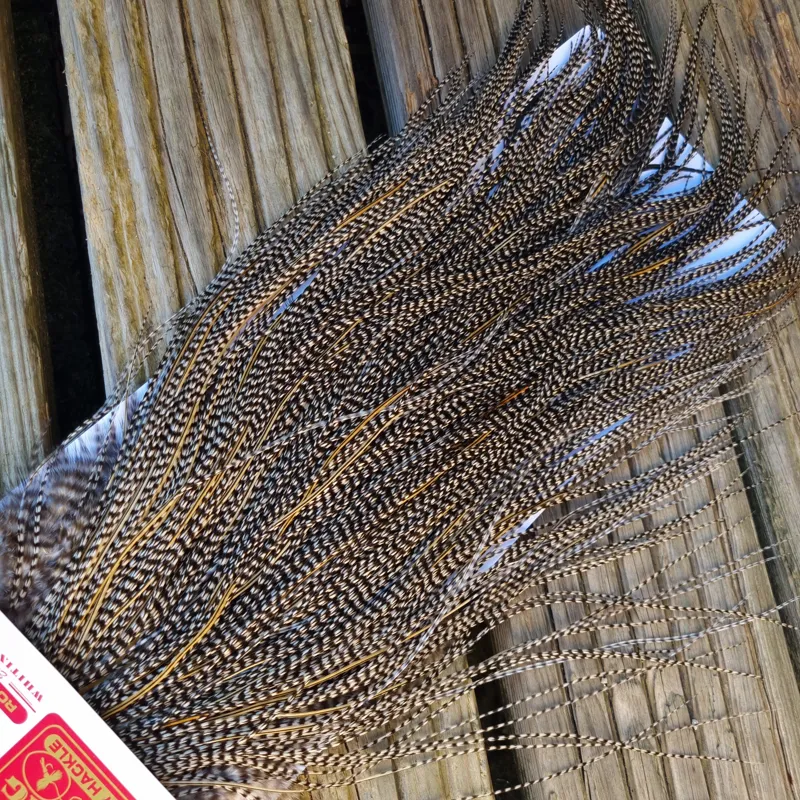 Whiting Pro-Grade Midge Rooster Saddle in Grizzly Variant C Classic Grizzly Lightly Splashed with Golden Badger Hackles Approx Tying Sizes  Few 14/16/18/20 -3