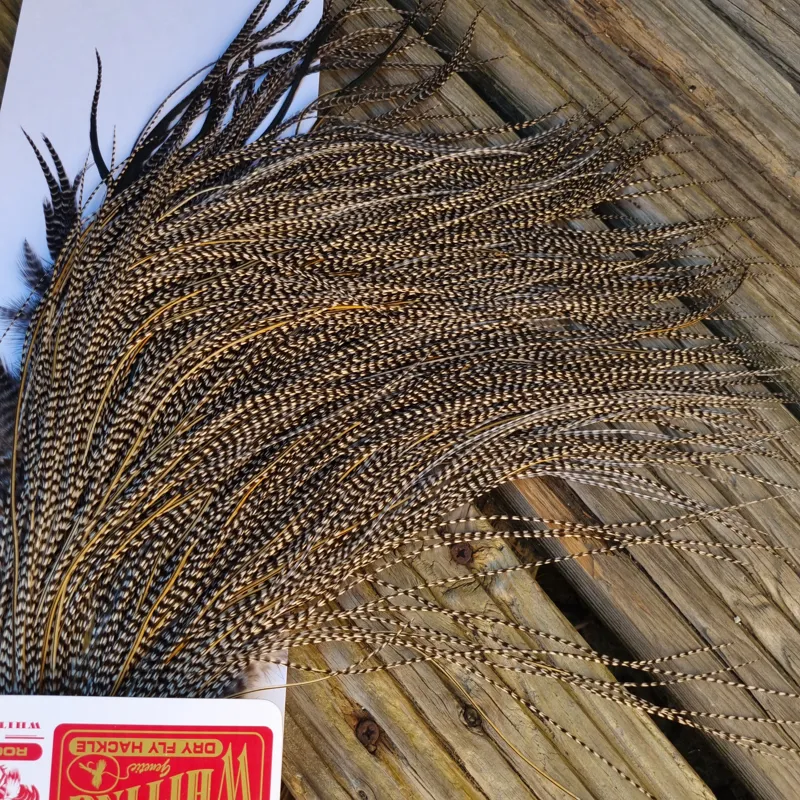 Whiting Pro-Grade Midge Rooster Saddle in Grizzly Variant C Classic Grizzly Lightly Splashed with Golden Badger Hackles Approx Tying Sizes  Few 14/16/18/20 -4