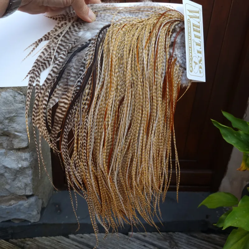 Whiting Heritage Hackles Rooster Saddle in Mixed Colours C Dun CREE Splashed with Furnace Tying Approx 12/14 with a few 16-4