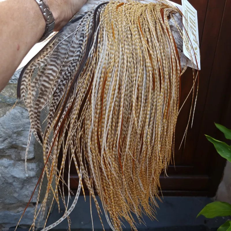 Whiting Heritage Hackles Rooster Saddle in Mixed Colours C Dun CREE Splashed with Furnace Tying Approx 12/14 with a few 16-2
