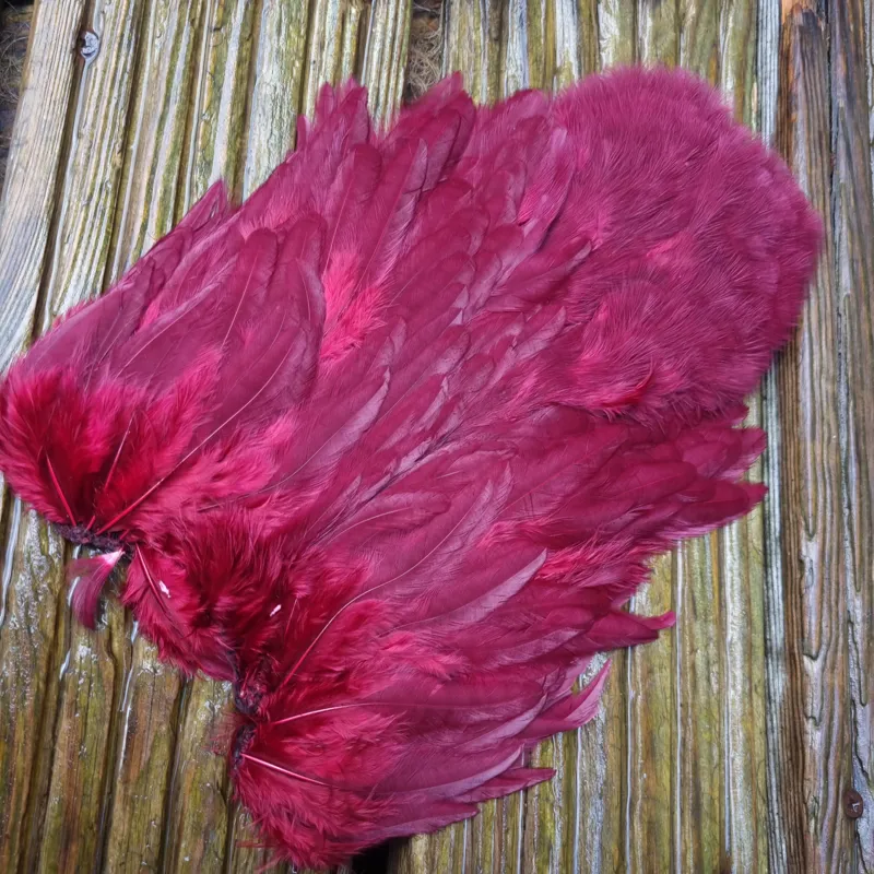 Whiting Rooster Soft Hackle with Chickabou in White Dyed Claret-3