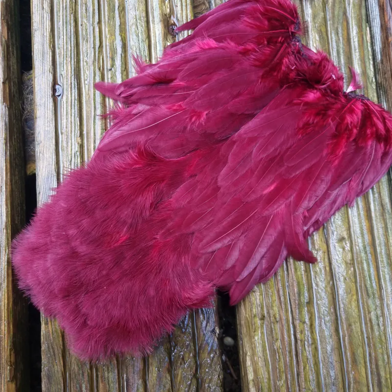 Whiting Rooster Soft Hackle with Chickabou in White Dyed Claret-1