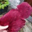 Whiting Rooster Soft Hackle with Chickabou in White Dyed Claret