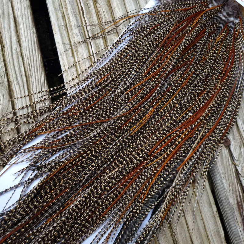 Whiting Pro-Grade Midge Rooster Saddle in CREE C CREE Splashed with Furnace Approx Tying Sizes Few14/16/18/20 and a Few going Smaller-5