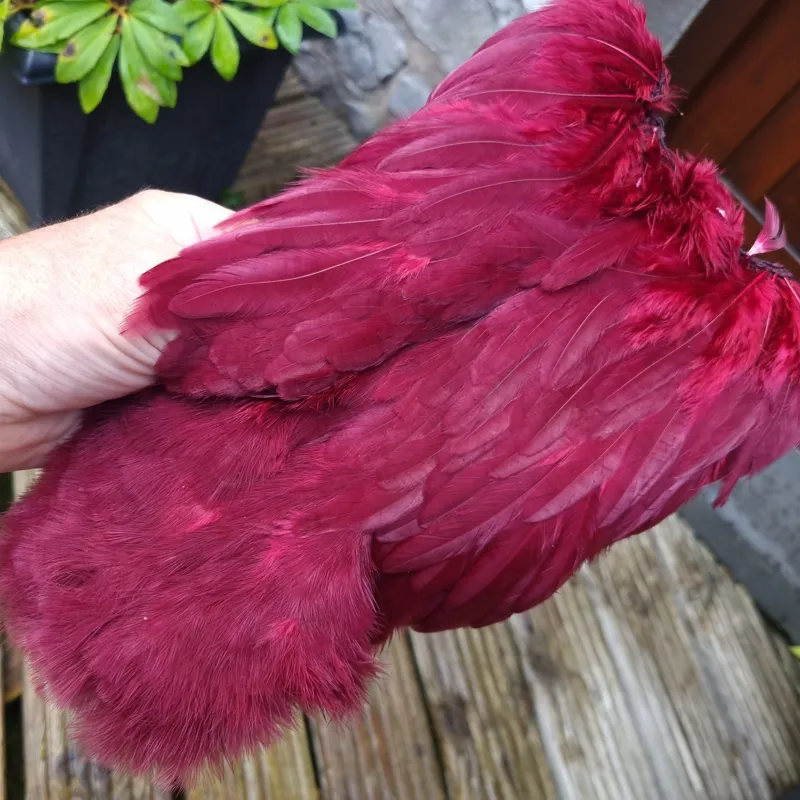 Whiting Rooster Soft Hackle with Chickabou in White Dyed Claret-2