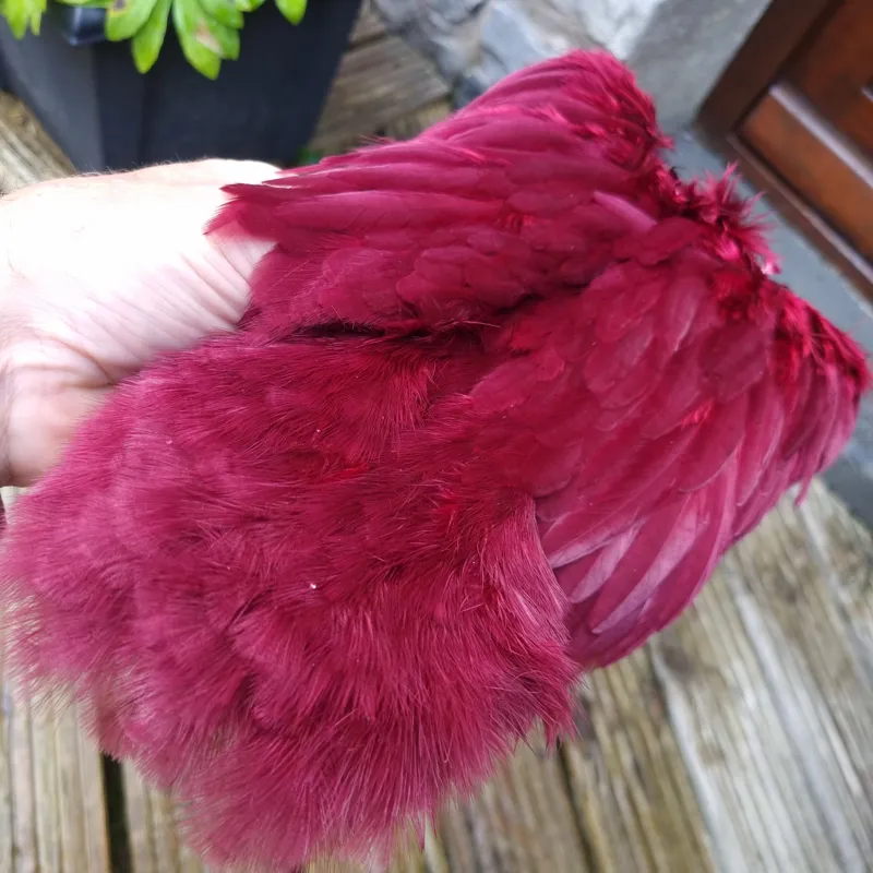 Whiting Rooster Soft Hackle with Chickabou in White Dyed Claret-4