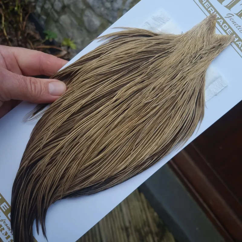 Whiting Heritage Hackles Rooster Cape in Mixed Colours C Champagne Badger/Speckled Champagne Badger-3