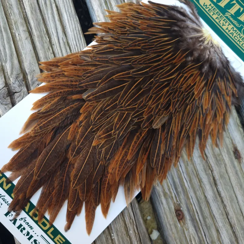 Whiting Hebert Miner Hen Saddle in Wild Type Brown C-4