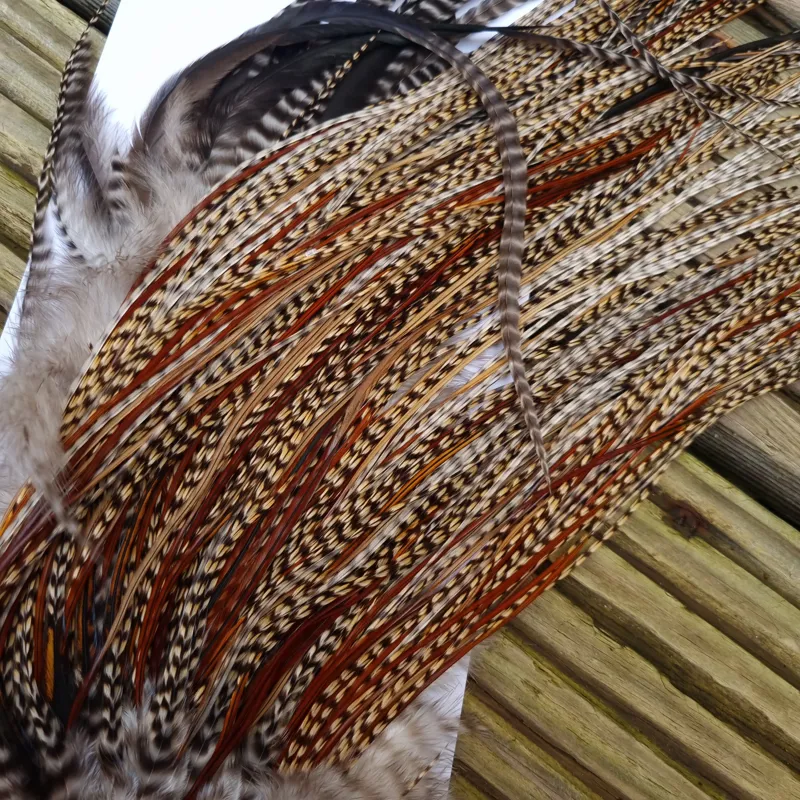 Whiting Pro-Grade Midge Rooster Saddle in Light CREE B Splashed with Furnace Approx Tying Sizes 14/16-6