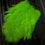 Whiting Rooster Soft Hackle with Chickabou in White Dyed Fl.Green Chartreuse