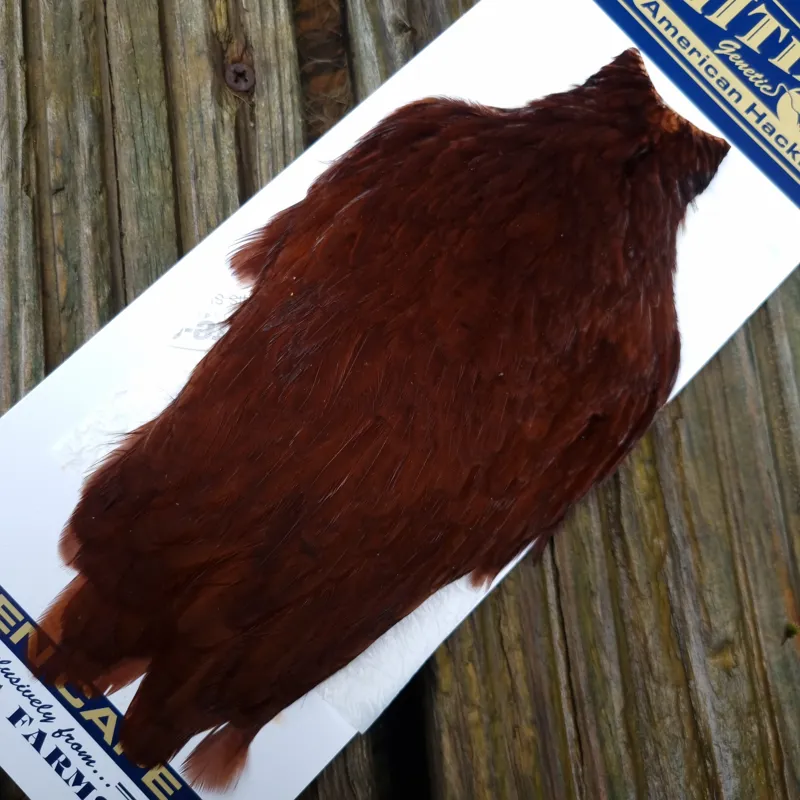 Whiting American Hen Cape in Coachman Brown