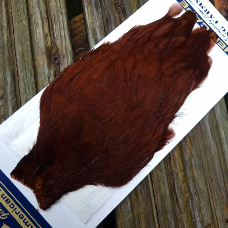 Whiting American Hen Cape in Coachman Brown-1