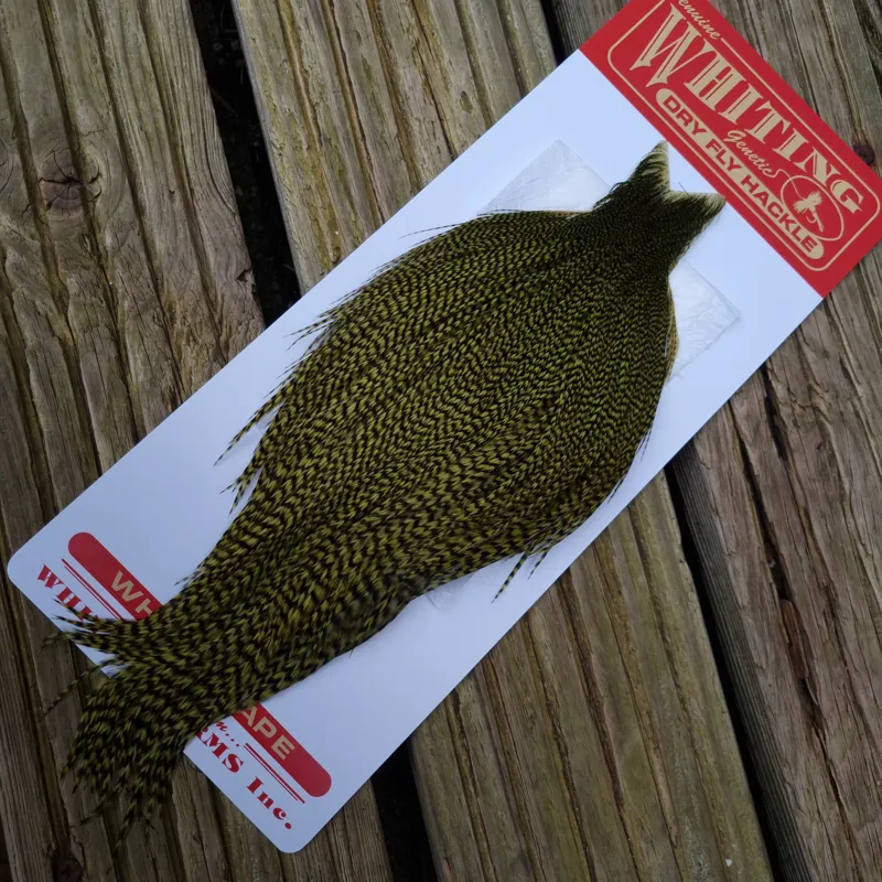 Whiting Commercial Grade Dry Fly Cape in Grizzly Dyed Olive B-2
