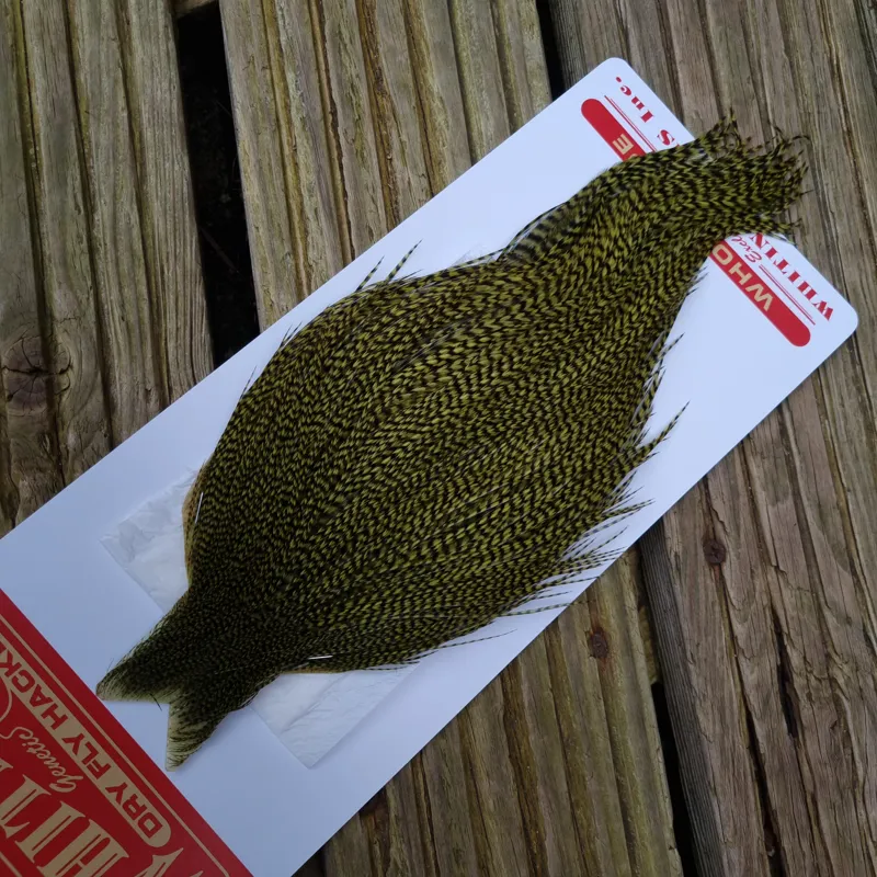 Whiting Commercial Grade Dry Fly Cape in Grizzly Dyed Olive B-3