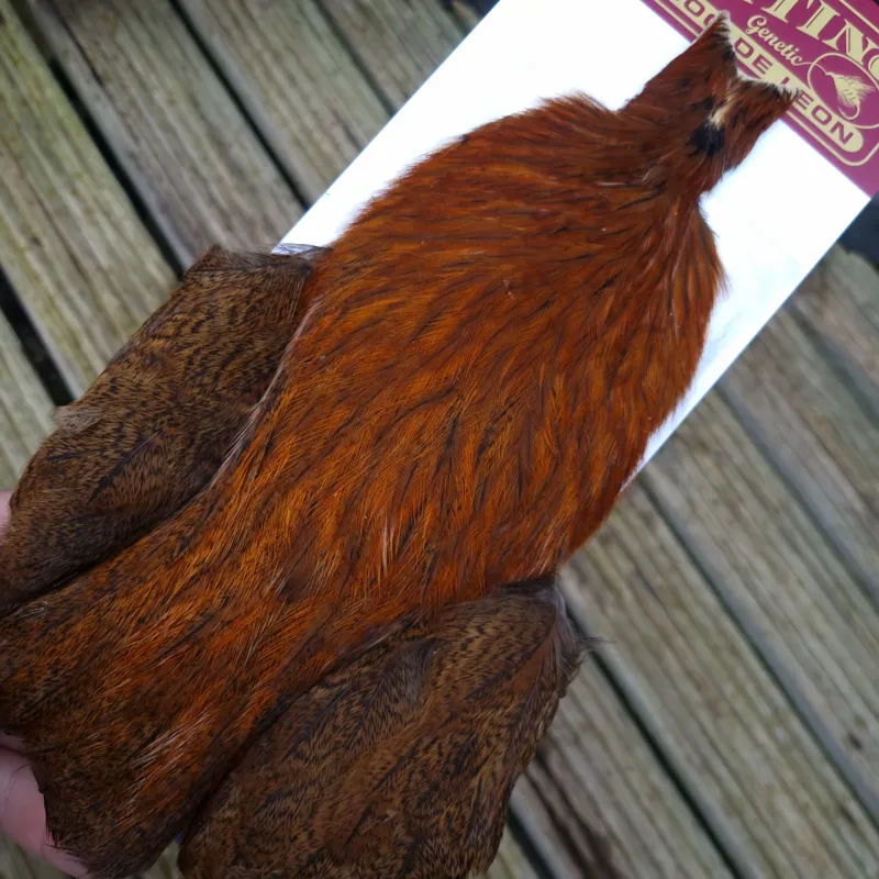 Whiting Coq de Leon Hen Cape in Ginger Speckled