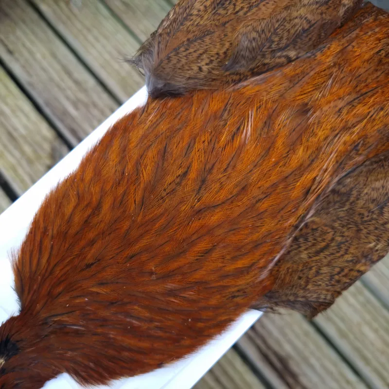 Whiting Coq de Leon Hen Cape in Ginger Speckled-3