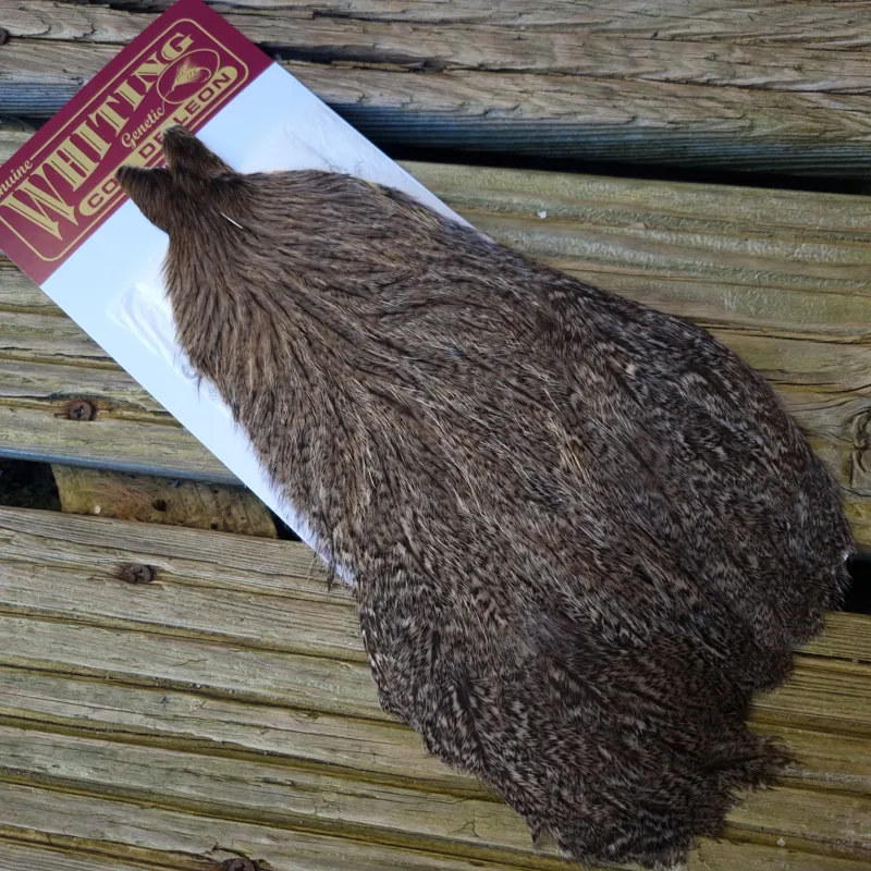 Whiting Coq de Leon Hen Cape in Brown Speckled-3