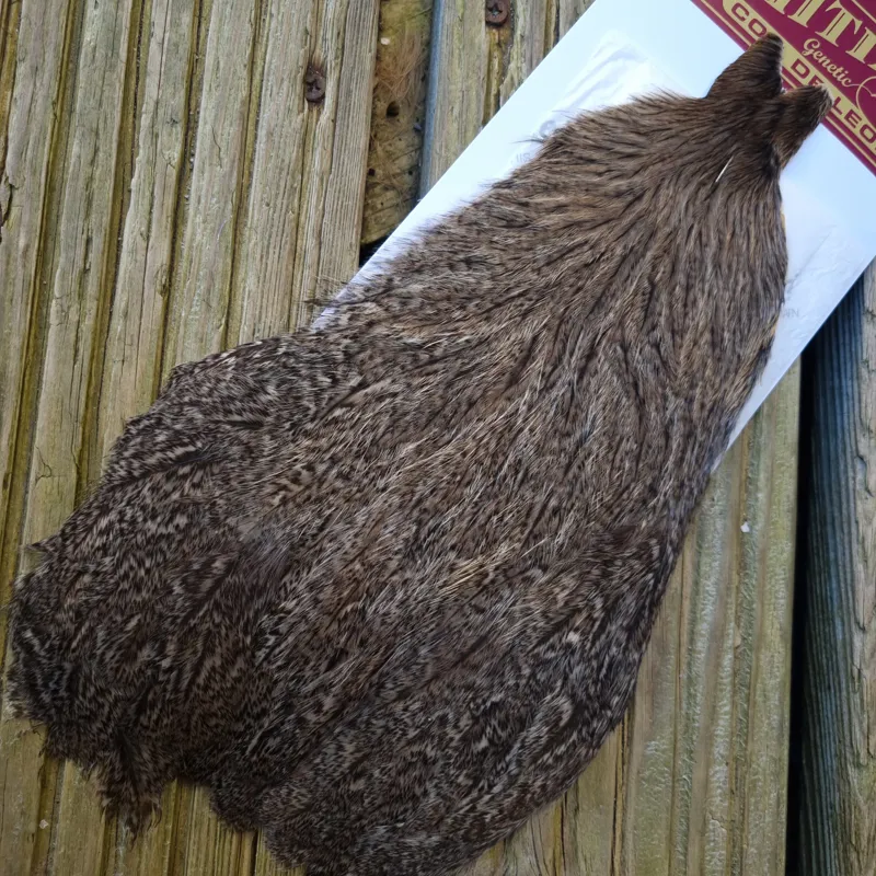 Whiting Coq de Leon Hen Cape in Brown Speckled-4