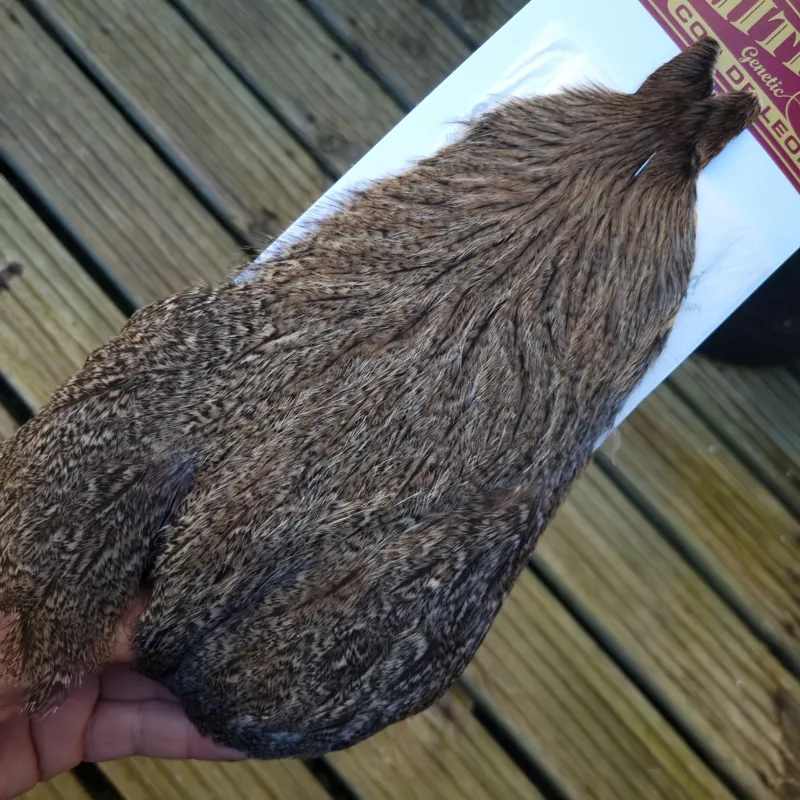 Whiting Coq de Leon Hen Cape in Brown Speckled-10