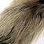 Whiting Coq de Leon Rooster Saddle Bronze Grade in Cream Badger