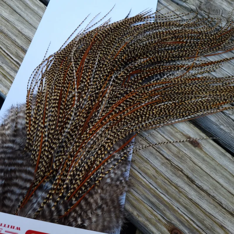 Whiting PRO-Grade Midge Rooster Saddle in CREE A Classic Cree Splashed with Furnace Approx tying size odd 14 and stuffed with 16/18/20-3