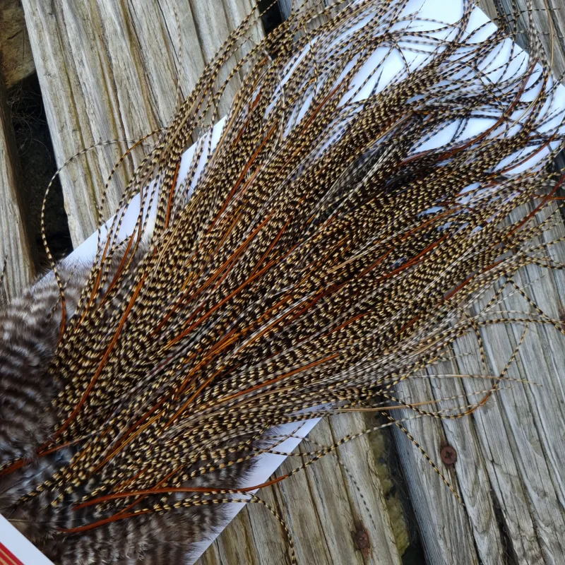 Whiting PRO-Grade Midge Rooster Saddle in CREE A Classic Cree Splashed with Furnace Approx tying size odd 14 and stuffed with 16/18/20