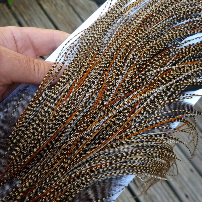 Whiting PRO-Grade Midge Rooster Saddle in CREE A Classic Cree Splashed with Furnace Approx tying size odd 14 and stuffed with 16/18/20-1