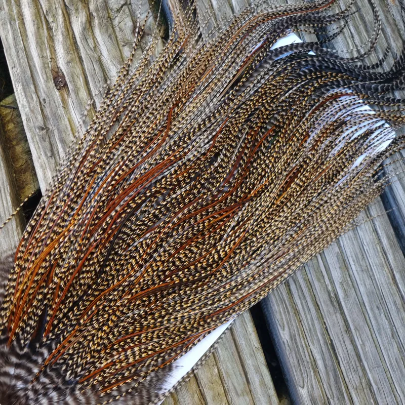 Whiting Bronze Grade Midge Rooster Saddle in CREE A Classic Cree with a light Splashing of Furnace Approx Tying Sizes 14/16/18 you might find a few going smaller-6