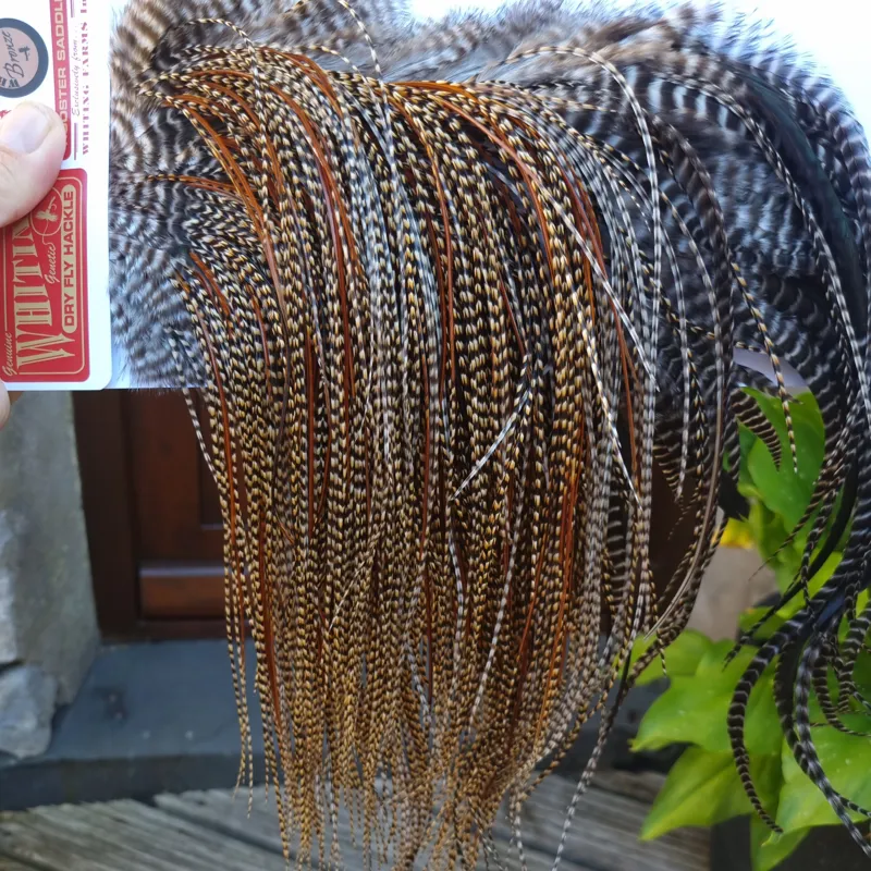 Whiting Bronze Grade Midge Rooster Saddle in CREE A Classic Cree with a light Splashing of Furnace Approx Tying Sizes 14/16/18 you might find a few going smaller-8