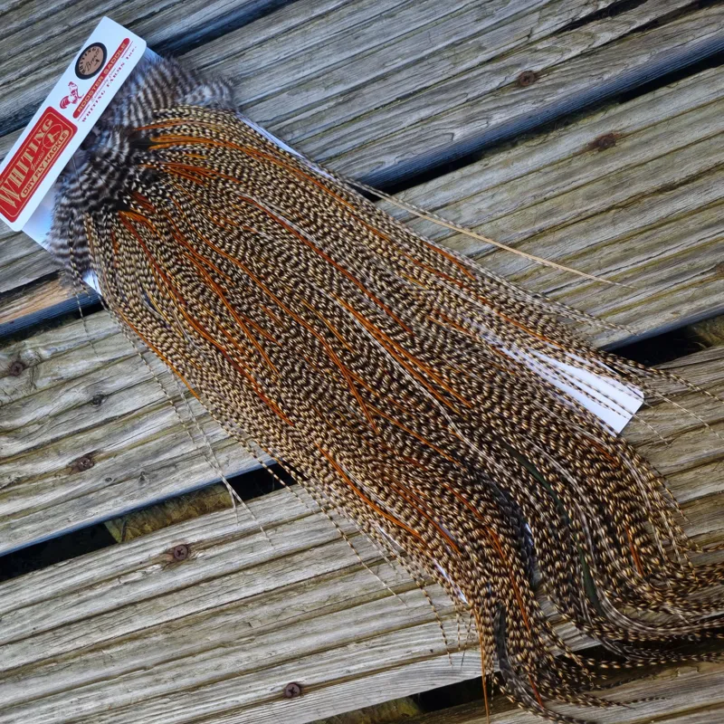 Whiting Bronze Grade Midge Rooster Saddle in CREE B Classic Cree Splashed with Furnace Hackles Approx Tying Size 14/16/18 with a few going smaller-5