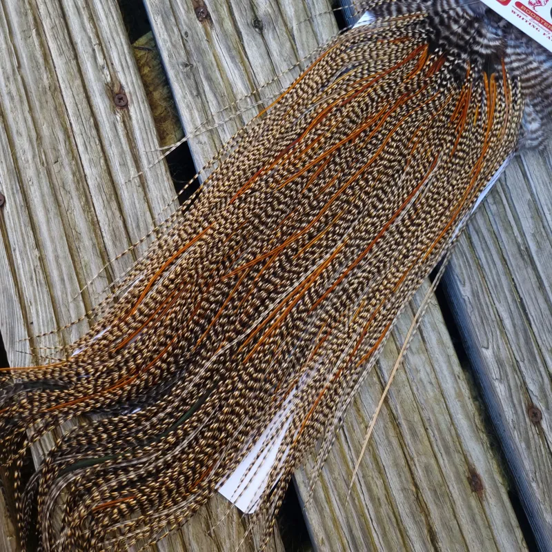 Whiting Bronze Grade Midge Rooster Saddle in CREE B Classic Cree Splashed with Furnace Hackles Approx Tying Size 14/16/18 with a few going smaller-4