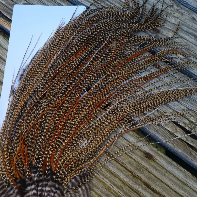 Whiting Bronze Grade Midge Rooster Saddle in CREE B Classic Cree Splashed with Furnace Hackles Approx Tying Size 14/16/18 with a few going smaller-6