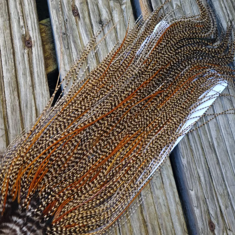 Whiting Bronze Grade Midge Rooster Saddle in CREE B Classic Cree Splashed with Furnace Hackles Approx Tying Size 14/16/18 with a few going smaller-2
