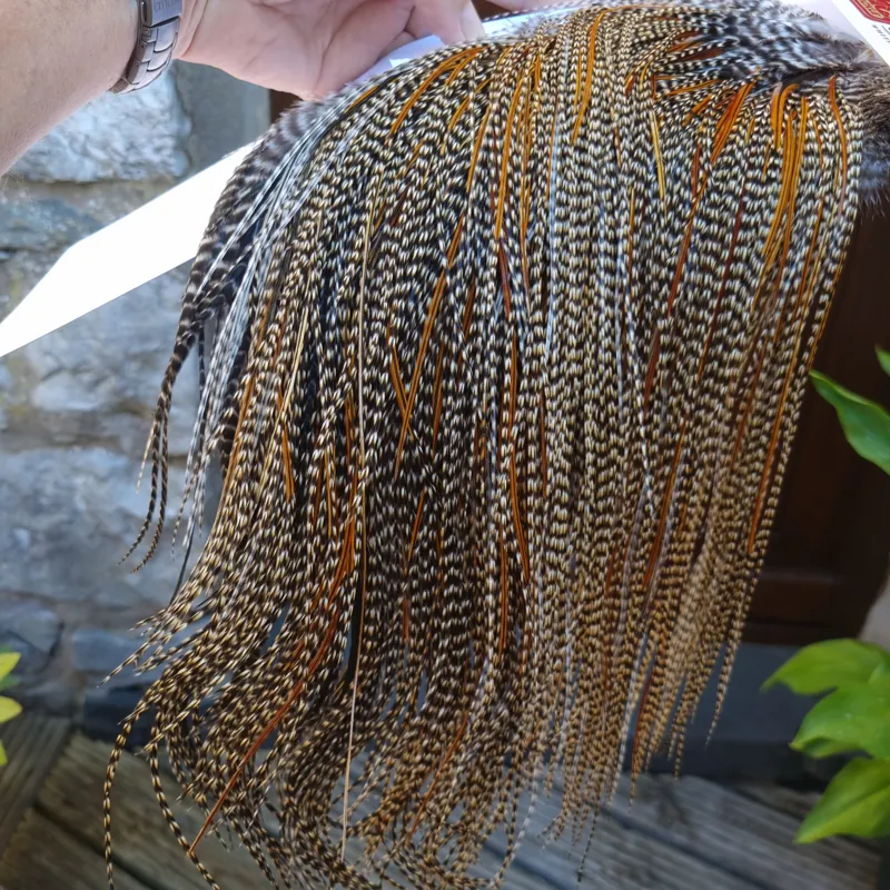 Whiting Bronze Grade Midge Rooster Saddle in CREE B Classic Cree Splashed with Furnace Hackles Approx Tying Size 14/16/18 with a few going smaller