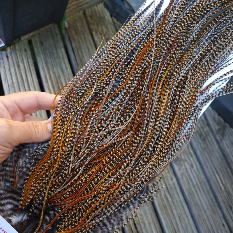 Whiting Bronze Grade Midge Rooster Saddle in CREE C Classic Cree Splashed with Furnace and Greenwells hackles Approx Tying Size 14/16/18 some 20s-3
