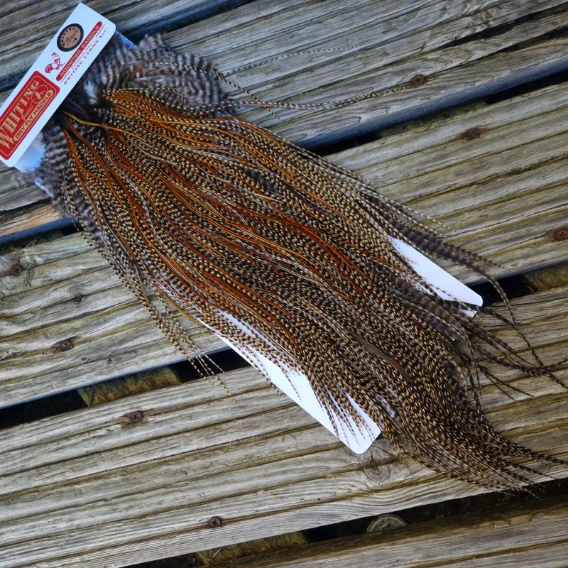 Whiting Bronze Grade Midge Rooster Saddle in CREE C Classic Cree Splashed with Furnace and Greenwells hackles Approx Tying Size 14/16/18 some 20s-5