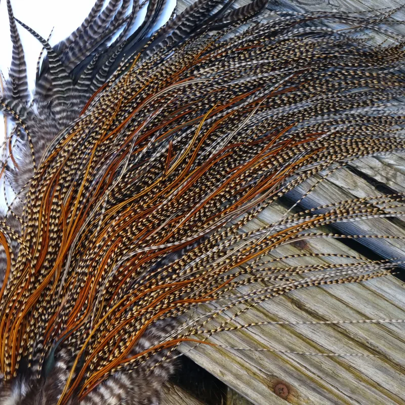 Whiting Bronze Grade Midge Rooster Saddle in CREE C Classic Cree Splashed with Furnace and Greenwells hackles Approx Tying Size 14/16/18 some 20s-2
