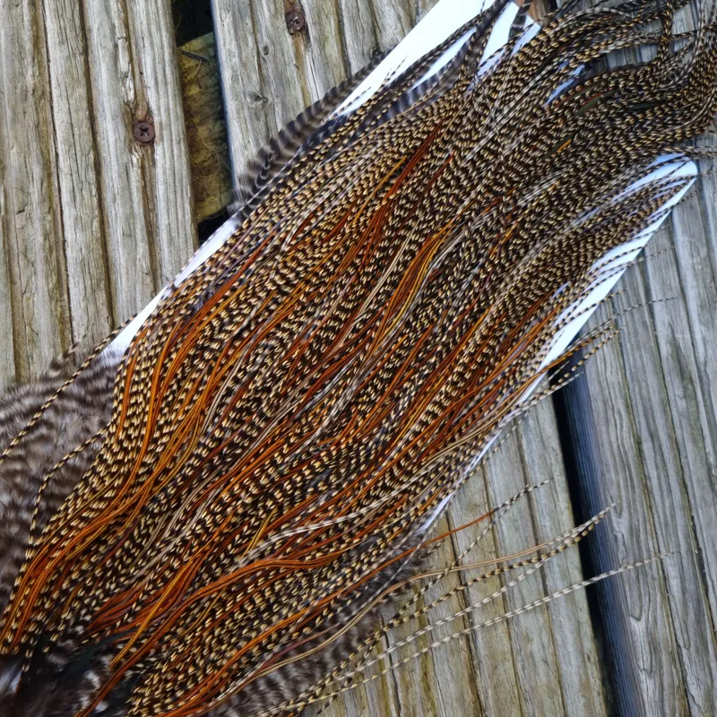 Whiting Bronze Grade Midge Rooster Saddle in CREE C Classic Cree Splashed with Furnace and Greenwells hackles Approx Tying Size 14/16/18 some 20s-4