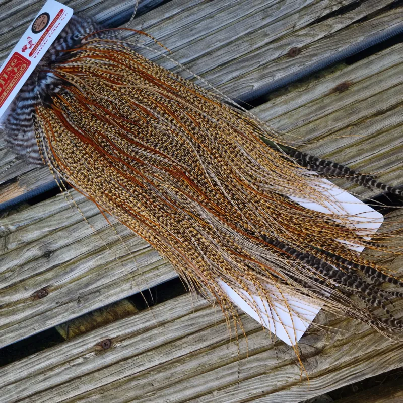 Whiting Bronze Grade Midge Rooster Saddle in CREE D Classic Cree Splashed with Furnace Hackles Approx Tying Size 14/16/18 with a few smaller-4