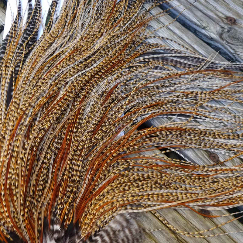 Whiting Bronze Grade Midge Rooster Saddle in CREE D Classic Cree Splashed with Furnace Hackles Approx Tying Size 14/16/18 with a few smaller-7