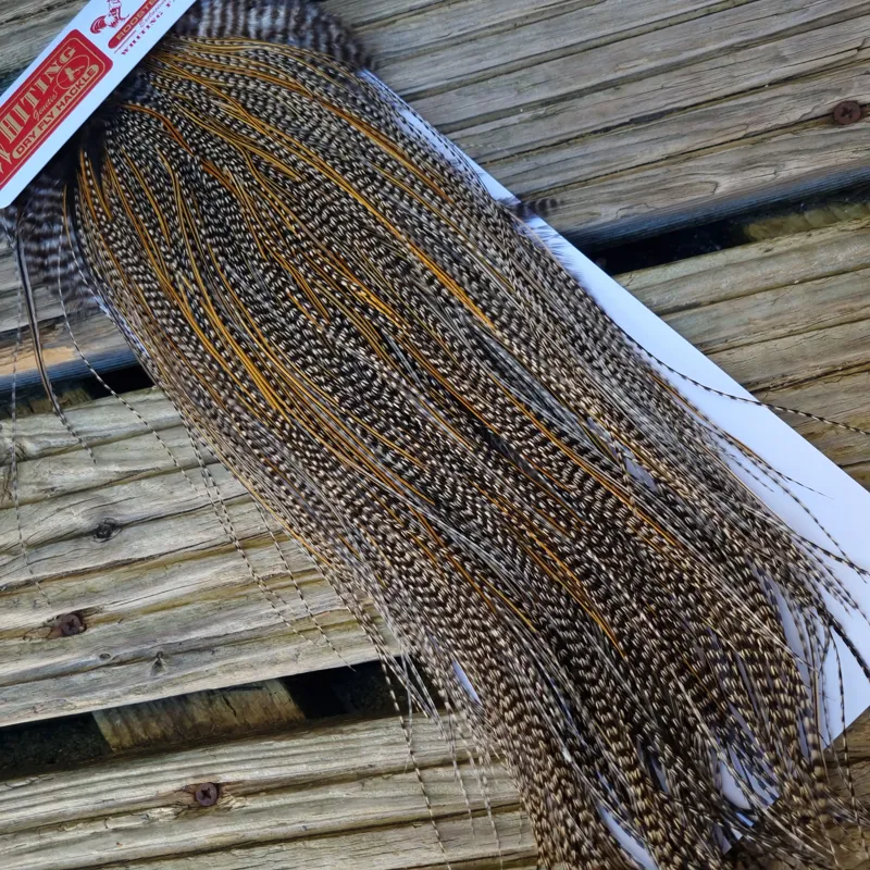 Whiting Pro-Grade Midge Rooster Saddle in Grizzly Variant D Classic Grizzly Splashed with GOLDEN Badger Approx Tying size 16/18/20/22/24/26 and OUT OF SIGHT-3