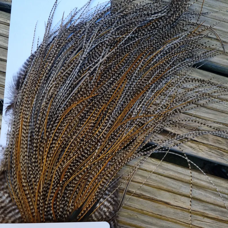 Whiting Pro-Grade Midge Rooster Saddle in Grizzly Variant D Classic Grizzly Splashed with GOLDEN Badger Approx Tying size 16/18/20/22/24/26 and OUT OF SIGHT-4