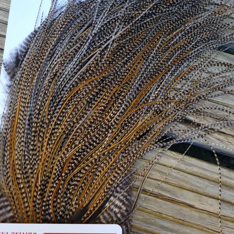 Whiting Pro-Grade Midge Rooster Saddle in Grizzly Variant D Classic Grizzly Splashed with GOLDEN Badger Approx Tying size 16/18/20/22/24/26 and OUT OF SIGHT-6